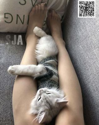 僵尸百分百动漫在线观看