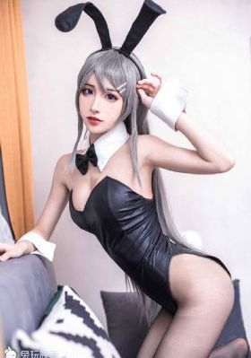 代号山豹