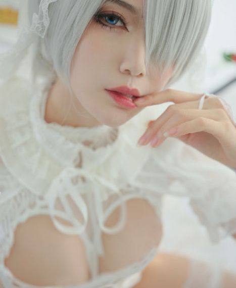 骑士陨落