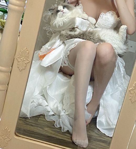 免费网站在线观看