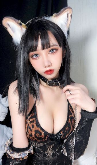 鬣狗之路电影完整版在线观看
