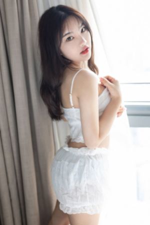 我们的翻译官电视剧免费观看全集