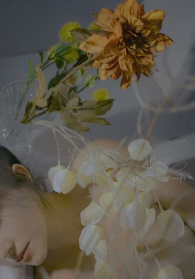秘密森林韩剧电视剧全集免费播放
