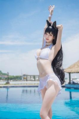 追风行动46集全集免费观看