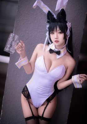文豪野犬第一季完整版