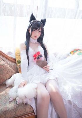 锦衣夜行电视剧