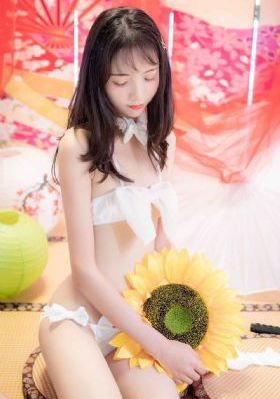 小公主苏菲亚第三季中文版