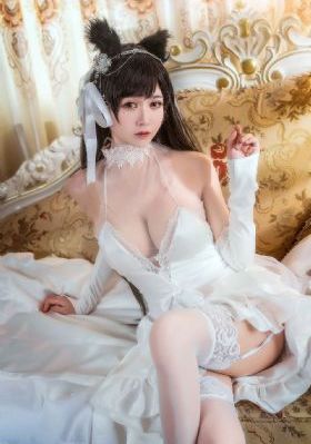 半路夫妻电视剧免费